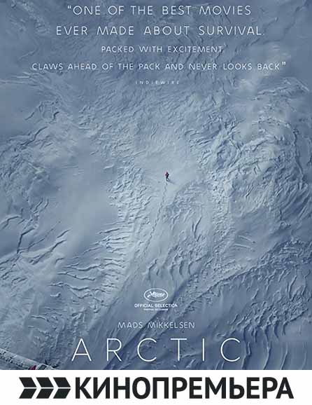 poster Затерянные во льдах